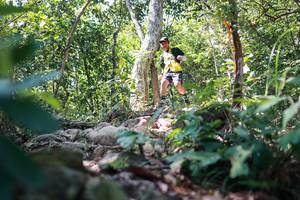 BIB: 
                            <button type="button" onclick="openModal(27703833)" class="btn btn-primary btn-sm float-right btn-popup" data-toggle="modal" data-target=".modal-high-quality">
                        <i class="fas fa-shopping-cart"></i> Add to Cart
                    </button>
                                            <button type="button" onclick="isThisMe(27703833, true)" class="btn btn-success btn-sm float-right btn-popup btn-isme hidden" data-toggle="tooltip" data-placement="bottom" title="นี่คือรูปของคุณใช่ไหม คลิกที่นี่เพื่อเอาเข้าอัลบั้ม">
                        <i class="fas fa-plus"></i> Add to album
                    </button>
                    <button type="button" onclick="isThisMe(27703833, false)" class="btn btn-warning btn-sm float-right btn-popup btn-isnotme hidden">
                        <i class="fas fa-ban"></i> Remove from album
                    </button>